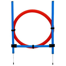 Agility Obstacle with Ring