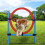 Agility Obstacle with Ring 2