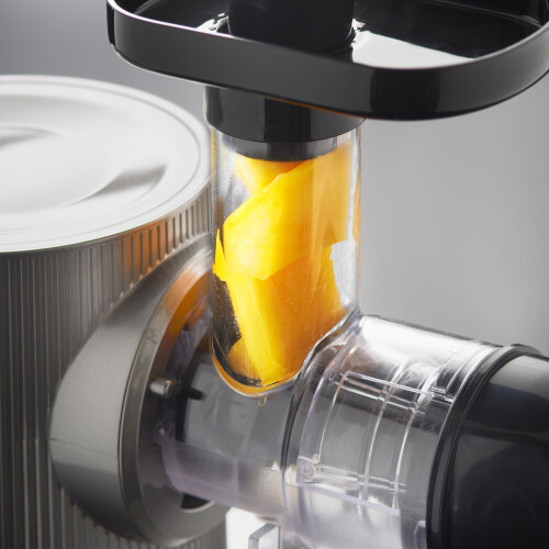 Quest (Grey) Quest 150W Slow Juicers / Cold Press Masticating Juicer / Quiet 2