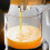 Quest (Black) Quest 150W Slow Juicers / Cold Press Masticating Juicer / Quiet 5