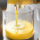 Quest (Grey) Quest 150W Slow Juicers / Cold Press Masticating Juicer / Quiet 5