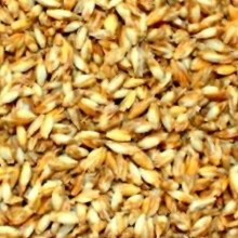 iffland MERINO EUROPA 10 Organic Spelt from Kba Original Heimtextilmanufaktur
