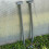 Selections Greenhouse Guttering Rainwater Kit (Pack of 2) 2