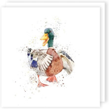 Second Nature Animal Trail 'Male Duck' Blank Greeting Card