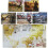 Risk Legacy Strategy Tabletop Game, Immersive Narrative Board Game 5