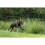 Hunter Hunter Freestyle 40712 Training Collar 45 / 10 6