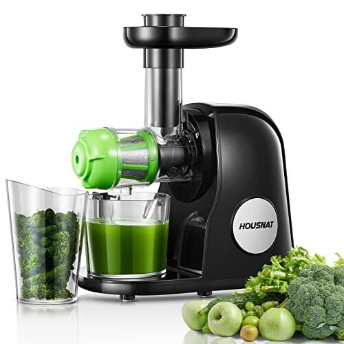 Juicer Machines HOUSNAT Professional Slow Masticating Juicer Extractor Easy to Clean Cold Press Juicer with Quiet Motor and Reverse Function fo on OnBuy