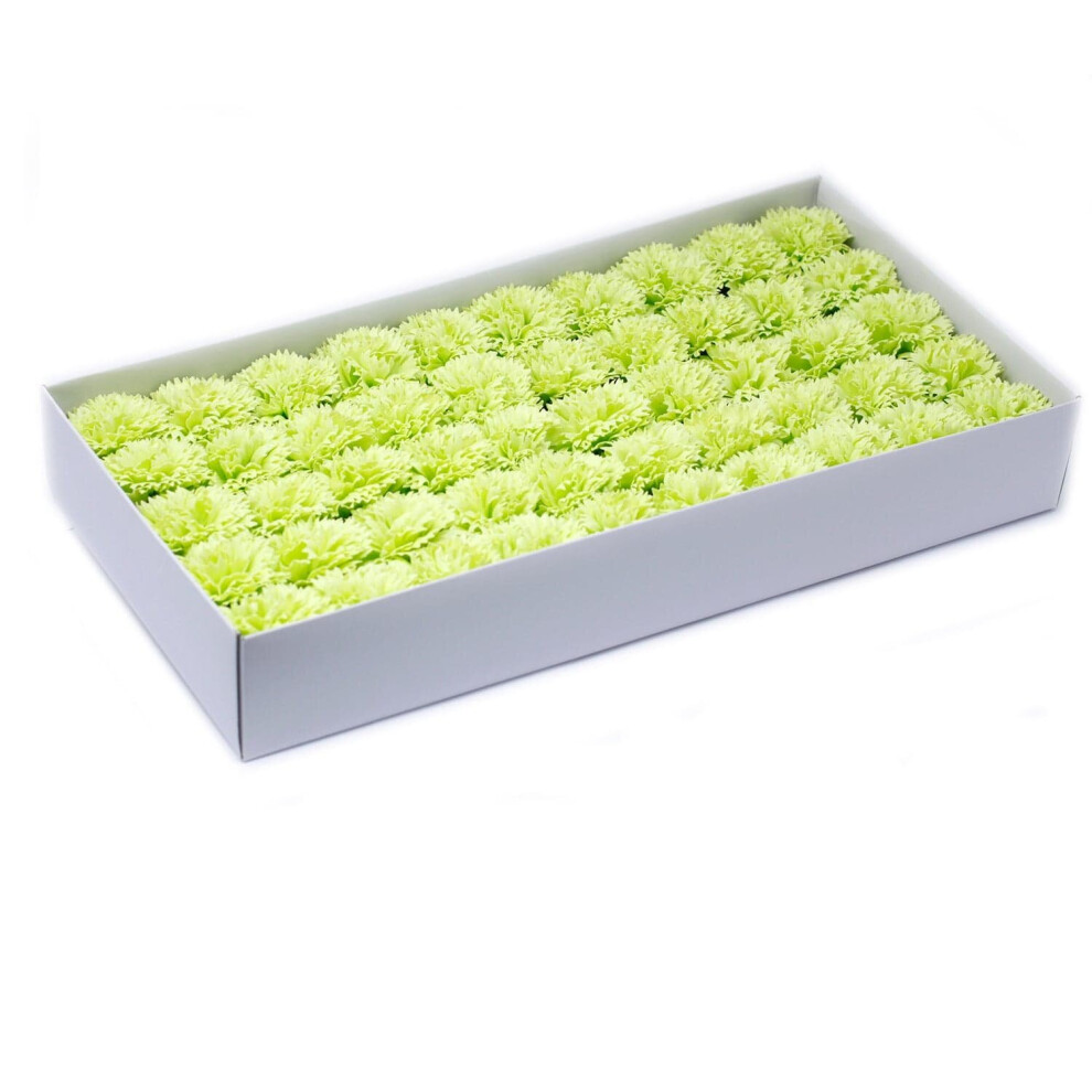 Ancient Wisdom Craft Soap Flowers - Carnations - Lime