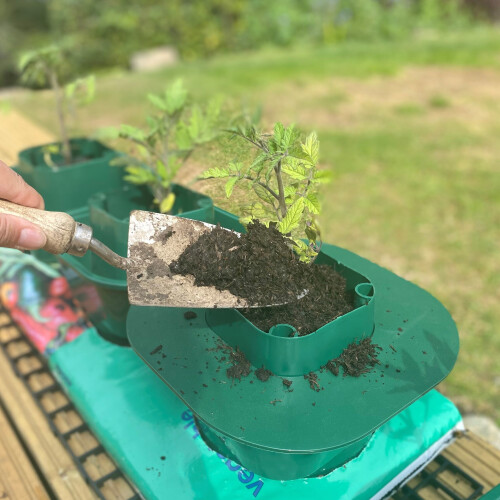 Selections Planting Guard for Growbag Pot 1