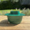 Selections Planting Guard for Growbag Pot 4
