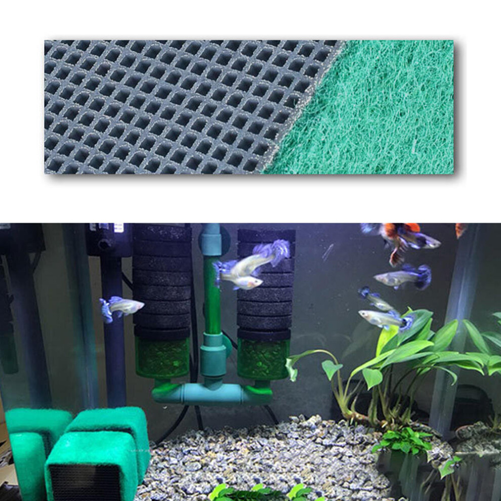 (5cm) Eco-Aquarium Water Purifiers Fish Tank Activated Carbon Filter Cubes