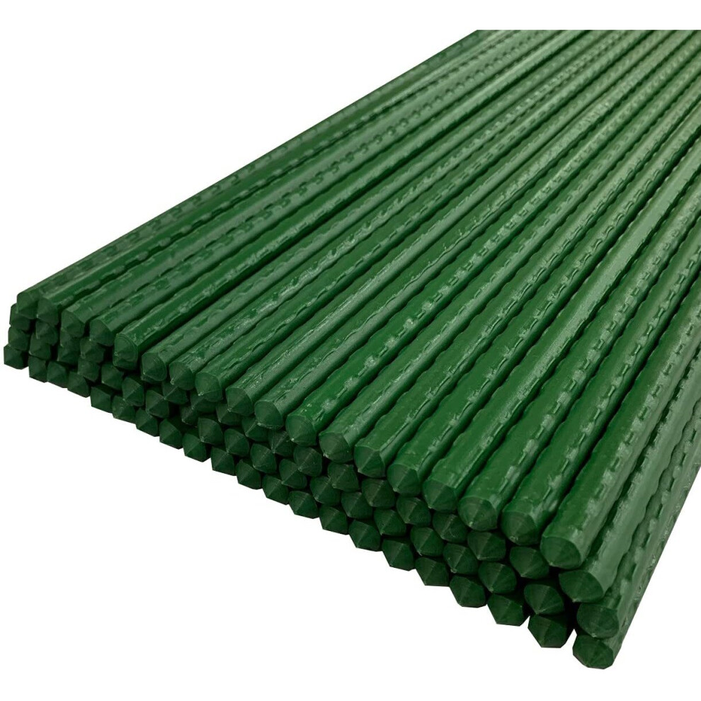 Set of 80 Plastic Coated Metal Plant Support Sticks (60cm)