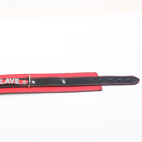 'Slave' Collar and Lead 1