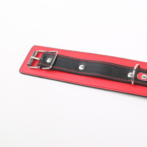 'Slave' Collar and Lead 2