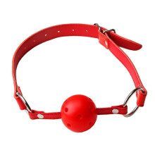 The Room Of Doom's 'SSShhh' Ball Gag