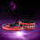 'Slave' Collar and Lead 5