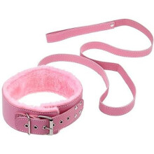 The Room Of Doom's Leash and Furry Collar