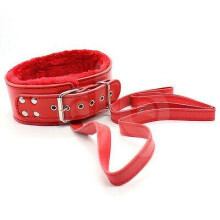 The Room Of Doom's Leash and Furry Collar