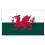 EXTRA LARGE 12 x 8 Ft Wales Welsh Dragon Flag 1