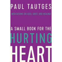 A Small Book for the Hurting Heart