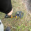Metal Detector Gold Finder Treasure Hunter Underground Adjustable 5