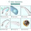 Portable Bladeless Neck Fan 3