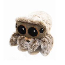 Lucas The Spider 1ST Edition Plush 20CM Kids Toy