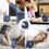 Mini-USB-Ventilator Tischventilator, 3-stufig regelbar, 360 drehbar, USB-Handventilator 13