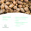 Mexican Wild Yam 500mg x 90 Tablets Estrogen Boost - Menopause 5