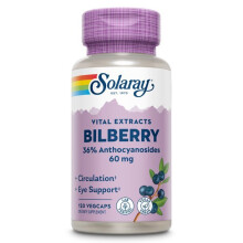 Solaray, Vital-Extrakte, Blaubeere, 60 mg, 120 VegCaps