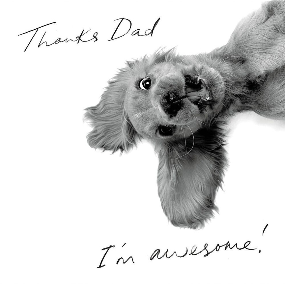 Woodmansterne Thanks Dad I'm Awesome! Happy Father's Day Greeting Card Fathers Day Cards