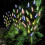 3 Pack 60 Led Branch Leaf Tree Multi Coloured Solar Powered Outdoor Garden Light 5