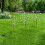 3 Pack 60 Led Branch Leaf Tree Multi Coloured Solar Powered Outdoor Garden Light 8