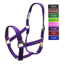 Valhoma 3492-RY-M QS Halter, Royal Blue - 800-1100 lbs - Medium