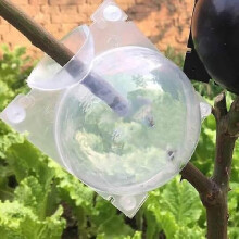 (Transparent, M) Air Layering Propagation Balls Hight-pressure Plant Rooting Ball Root Grafting Growing Breed