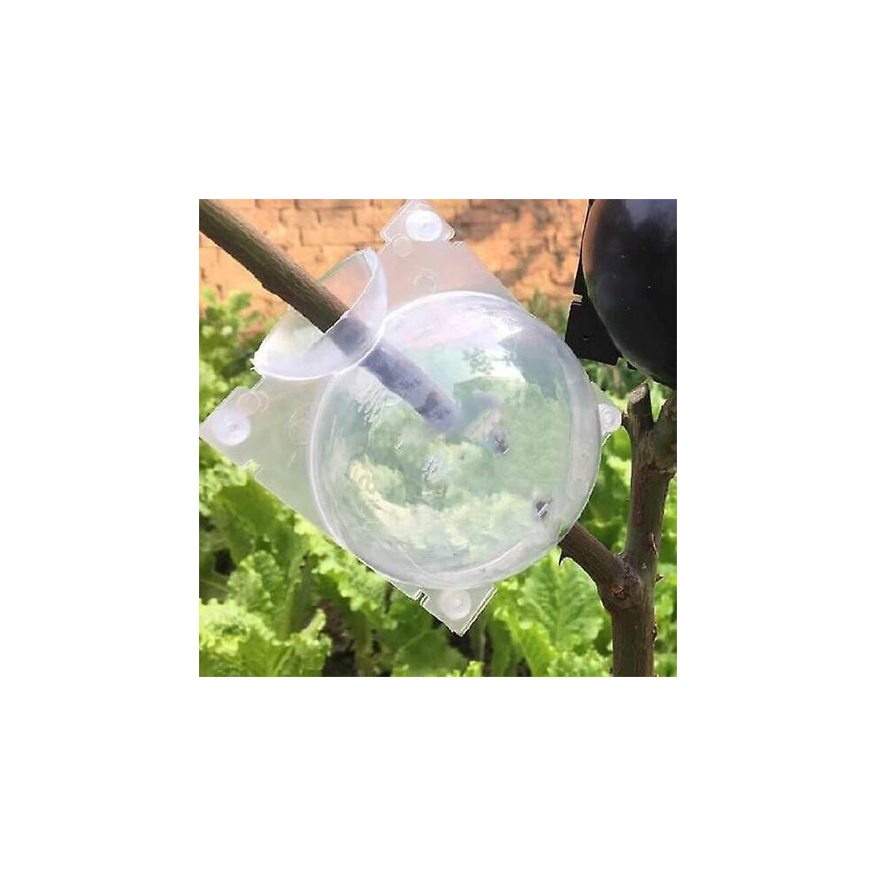 (Transparent, M) Air Layering Propagation Balls Hight-pressure Plant Rooting Ball Root Grafting Growing Breed-image-OPC-P97Z5MT-NEW