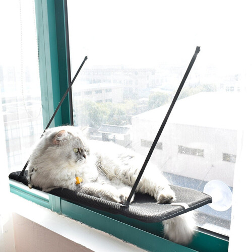 (Green) Window Hanging Sucker Type Plastic Cat Hammock 2