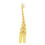 Dr. Brown's Giraffe Infant Toothbrush 3