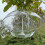 Selections Hanging Bird Feeder with Integral Squirrel Baffle (Set of 2) 3