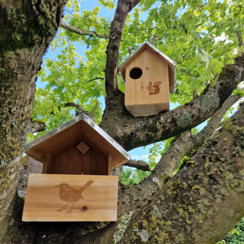 Selections Squirrel Nest Box And Wooden Bird Nesting Box Set 1