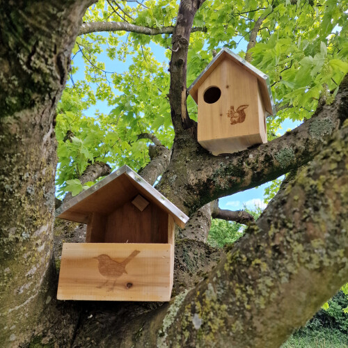 Selections Squirrel Nest Box And Wooden Bird Nesting Box Set 2