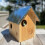 Selections Squirrel Nest Box And Wooden Bird Nesting Box Set 4