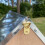 Selections Squirrel Nest Box And Wooden Bird Nesting Box Set 5