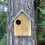 Selections Squirrel Nest Box And Wooden Bird Nesting Box Set 6