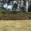 Selections Willow Hurdles Lawn Edging (120cm x 20cm) - 10 Panels 3