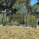 Kew Black Plastic Lawn Edging (60.5cm x 32.5cm) - 5 Panels 5