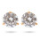 Swarovski Swarovski Solitaire Rose Gold Earrings 1