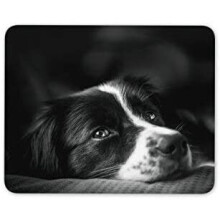 Border Collie Mouse Mat Pad - Puppy Farm Sheep Dog Farmer Gift Computer #8639