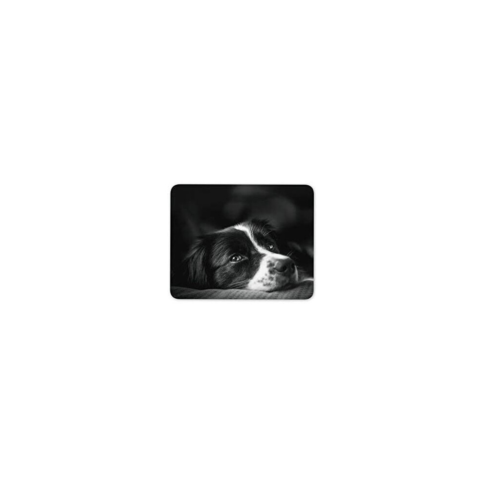 Border Collie Mouse Mat Pad - Puppy Farm Sheep Dog Farmer Gift Computer #8639 7625883438462