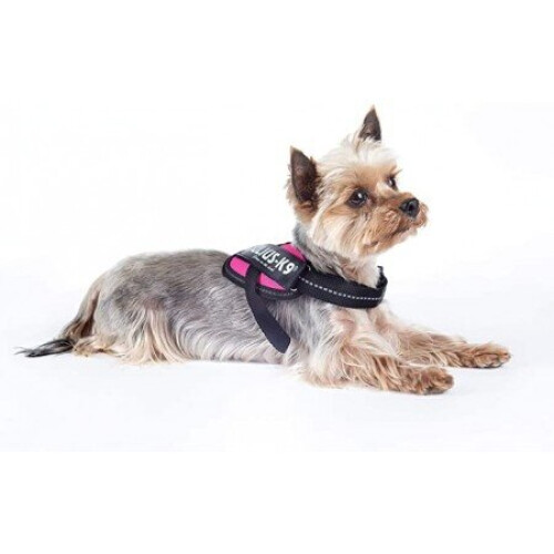 Baby 2 Pink Julius K9 IDC Power harness Dark Pink Dog Harness